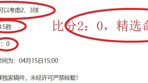 荷乙赛事深度解析：期号专家质合推荐，谁将夺冠